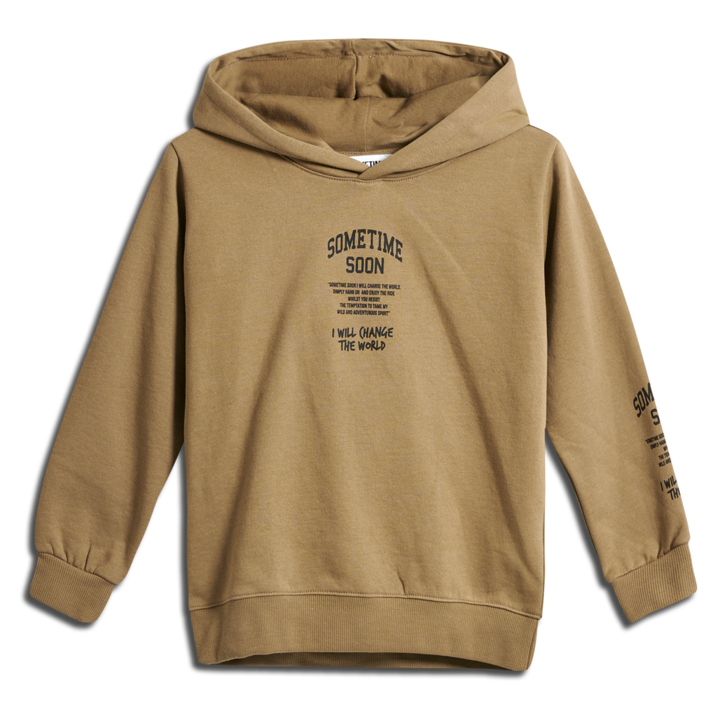 stmDIMAS HOODIE, SEPIA TINT, packshot